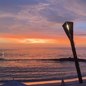 Meet your Posher, Alani